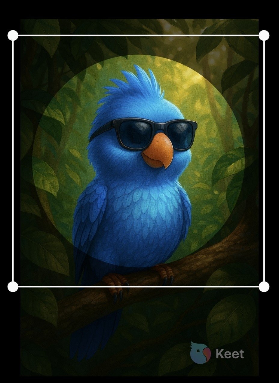 Setup · Feel free to add a profile picture to express your personality Manual setup.