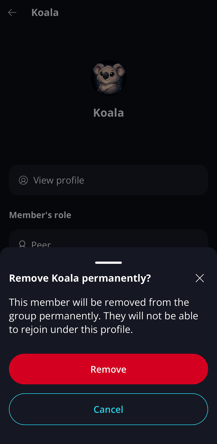Group Moderation ⚖️ · Remove member Admins and Moderators can permanently remove a peer from the group by selecting 'Remove member'.